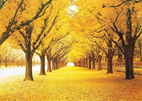 Stained Art 1000 Piece Autumn Golden Yellow Forest Ginkgo Trees Fallen Leaves Fall Deciduous Landscape Adults Games Jigsaw Puzzles for Christmas Birthday Gifts 75 * 50cm von GDFWB