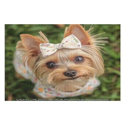 Yorkshire Terrier Poster – Fortgeschrittenes 1000-teiliges Puzzle Für Erwachsene 1000 PCS 50 * 70cm von GDFWB
