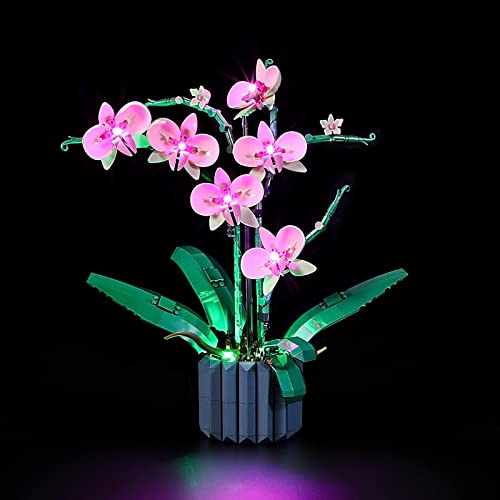 GEAMENT LED Licht-Set Kompatibel mit Lego Orchidee (Orchid) - Beleuchtungsset für Creator 10311 Baumodell (Lego Set Nicht enthalten) von GEAMENT