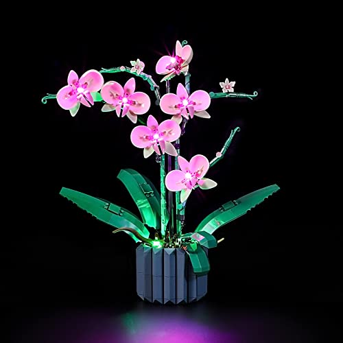 GEAMENT LED Licht-Set Kompatibel mit Lego Orchidee (Orchid) - Beleuchtungsset für Creator 10311 Baumodell (Modell-Set Nicht enthalten) von GEAMENT