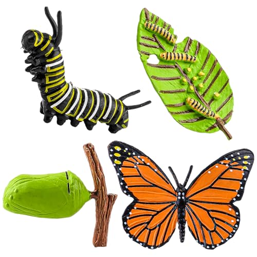 GEEHUA 4 Stück Schmetterling Lebenszyklus Spielzeugfiguren, Insektenfiguren, Realistische Tierfiguren Insekten Schmetterlingszyklusmodell Lehrmittel Schule Projekt für Kinder GEEHUA 4 Stück Schmetterling Lebenszyklus Spielzeugfiguren, Insektenfiguren, Realistische Tierfiguren Insekten Schmetterlingszyklusmodell Lehrmittel Schule Projekt für Kinder von GEEHUA