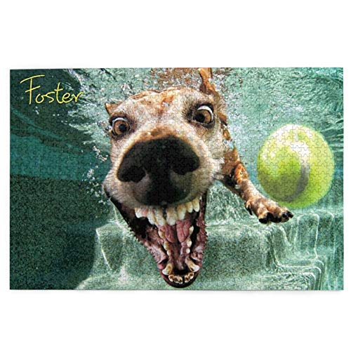 Unterwasser-Hundepuzzle, 1000 Teile, 75,4 x 50,3 cm, Puzzle – dicke, stabile Teile, anspruchsvolle Familienaktivität, tolle Geschenkidee Unterwasser-Hundepuzzle, 1000 Teile, 75,4 x 50,3 cm, Puzzle – dicke, stabile Teile, anspruchsvolle Familienaktivität, tolle Geschenkidee von GEHIYPA