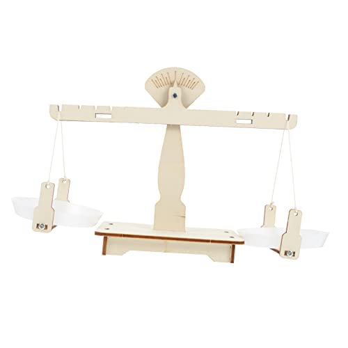 GETAJGHSD 1 Set Stem Science Lernkit DIY Balance Scale Modell Montage Spielzeug Für Kinder von GETAJGHSD