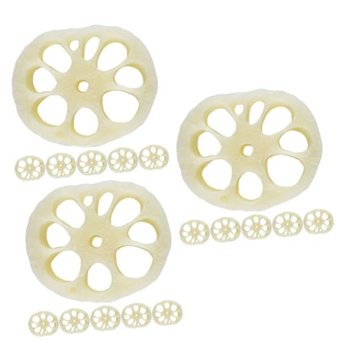 GETAJGHSD 18 Stück Simulierte Lotus -Root -Scheiben realistisches Miniaturspielzeug kleines für Mini-Lotus PVC von GETAJGHSD