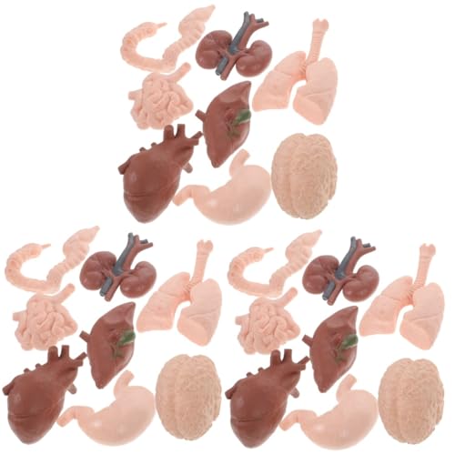 GETAJGHSD 24 Teiliges Menschliches Organmodell, Menschlicher Torso, Körperanatomiemodell, Menschliche Anatomiemodelle, Körperorganmodell Simulation, Menschliche Körperorgane, GETAJGHSD 24 Teiliges Menschliches Organmodell, Menschlicher Torso, Körperanatomiemodell, Menschliche Anatomiemodelle, Körperorganmodell Simulation, Menschliche Körperorgane, von GETAJGHSD