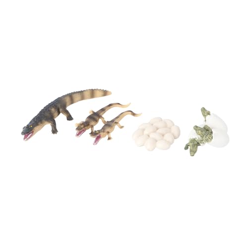 GETAJGHSD Lebenszyklus-demonstrationsmodell-Spielzeug 4-teiliges Modell-Spielzeug Pädagogisches Mini-tierspielzeug Für Jungen Und Mädchen von GETAJGHSD