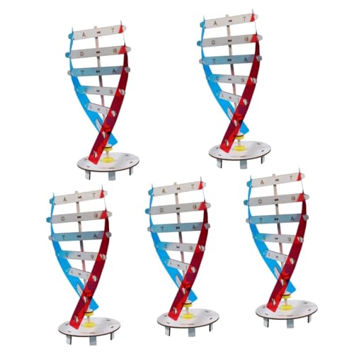 GETAJGHSD 5 Sätze DIY Lernwerkzeug Wissenschaftliches Lehrinstrument DIY Montagemodell Kindermontagespielzeug Holzmodell DIY Doppelhelix Modell Wissenschaftliches Doppelhelix Modell GETAJGHSD 5 Sätze DIY Lernwerkzeug Wissenschaftliches Lehrinstrument DIY Montagemodell Kindermontagespielzeug Holzmodell DIY Doppelhelix Modell Wissenschaftliches Doppelhelix Modell von GETAJGHSD