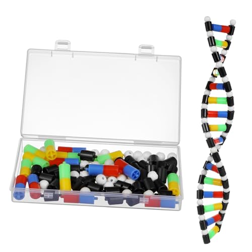 GETAJGHSD Doppelhelix-DNA-Modell -Lehrmittel klein Lernspielzeug für Wissenschaftsmodell Strand Helix Modell DIY-DNA-Modellbausatz molekyles Model DNA Strang Modell Plastik GETAJGHSD Doppelhelix-DNA-Modell -Lehrmittel klein Lernspielzeug für Wissenschaftsmodell Strand Helix Modell DIY-DNA-Modellbausatz molekyles Model DNA Strang Modell Plastik von GETAJGHSD