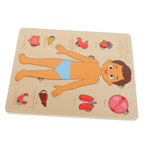 GETAJGHSD Holzpuzzle Pädagogisches Lernspielzeug für Vorschule Menschlicher Körper Organe Puzzle Fördert Hand Auge Koordination und Kognitive Entwicklung Frühförderung Lehrmittel für von GETAJGHSD