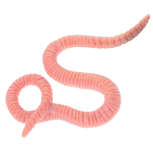 GETAJGHSD Regenwurm Tiermodell Spielzeug Gefälschtes Regenwurmmodell Insektenmodell Spielzeug Regenwurmskulptur Simuliertes Regenwurmmodell Regenwurmfigur Modellsimulation Insektenfiguren GETAJGHSD Regenwurm Tiermodell Spielzeug Gefälschtes Regenwurmmodell Insektenmodell Spielzeug Regenwurmskulptur Simuliertes Regenwurmmodell Regenwurmfigur Modellsimulation Insektenfiguren von GETAJGHSD
