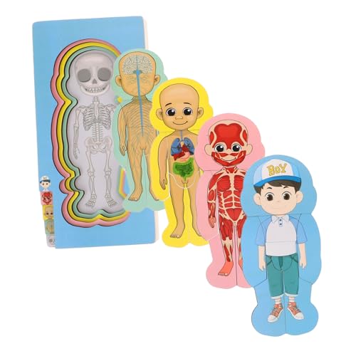 GETAJGHSD Jungen Mädchen Früherziehung Spielzeug Holz Kinder Puzzle Set Anatomie Puzzle Für Kleinkinder GETAJGHSD Jungen Mädchen Früherziehung Spielzeug Holz Kinder Puzzle Set Anatomie Puzzle Für Kleinkinder von GETAJGHSD