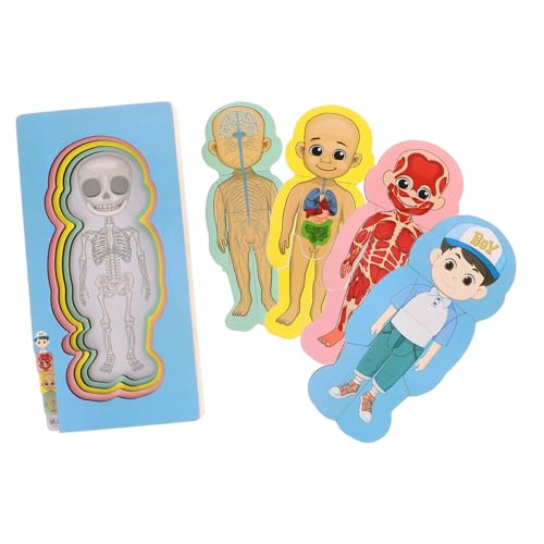 GETAJGHSD Set Menschliche Struktur Puzzle Organmodelle Holzpuzzles Kinder Gehirnspielzeug Gehirnpuzzles Denksportaufgaben Menschliches Puzzle Für Kinder GETAJGHSD Set Menschliche Struktur Puzzle Organmodelle Holzpuzzles Kinder Gehirnspielzeug Gehirnpuzzles Denksportaufgaben Menschliches Puzzle Für Kinder von GETAJGHSD