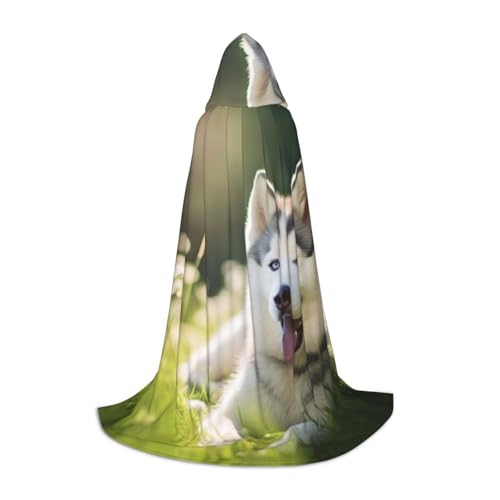 GFXEDSAH Kapuzenumhang mit schönem Husky-Aufdruck, mittelalterlicher Umhang mit bequemer Kapuze, perfekt für Rollenspiele und Partys GFXEDSAH Kapuzenumhang mit schönem Husky-Aufdruck, mittelalterlicher Umhang mit bequemer Kapuze, perfekt für Rollenspiele und Partys von GFXEDSAH