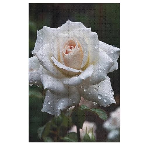Rose Holzpuzzle 1000 Teile Klassische Puzzles Erwachsene Kinder Puzzle DIY Kit Holzspielzeug Einzigartiges Geschenk 78×53cm Rose Holzpuzzle 1000 Teile Klassische Puzzles Erwachsene Kinder Puzzle DIY Kit Holzspielzeug Einzigartiges Geschenk 78×53cm von GGJJTT