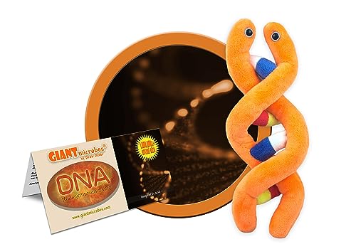 GIANTMicrobes - DNA (Deoxyribonucleic acid) Educational Plush by Giant Microbes von Giant Microbes
