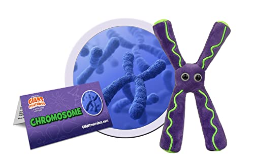 GIANT MICROBES Chromosome-Plüsch – Lernen Sie alles über Genetik und wie Chromosome mit diesem plüschigen pädagogischen Geschenk funktionieren von GIANTmicrobes