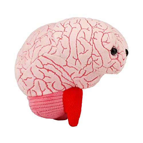 Giant Microbes Gehirn Orgel Plüschtier Original Weichen Körper Pädagogisches Geschenk 16 cm von Giant Microbes