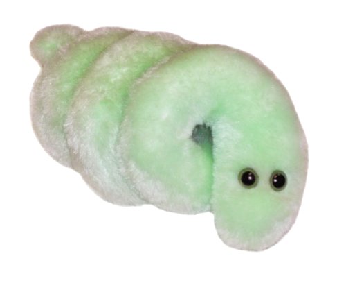 Peluche Microbe - La maladie de Lyme von Giant Microbes