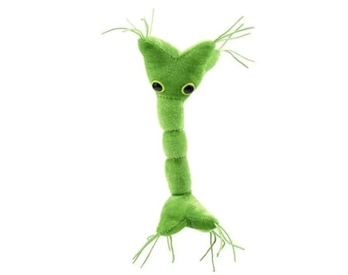 GIANTmicrobes Nervenzellen-Plüsch: Erfahren Sie mehr über Ihr Nervensystem mit diesem unvergesslichen Plüsch, einzigartiges und lehrreiches Geschenk für Wissenschaftler, Studenten, Neurologen und alle von GIANTmicrobes