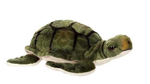 Gipsy Toys – Plüschtier Meeresschildkröte, 20 cm Gipsy Toys – Plüschtier Meeresschildkröte, 20 cm von GIPSY
