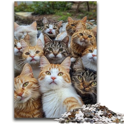 1000-teiliges Puzzle für Jugendliche und Erwachsene, Katzen-Selfie, 1000 Teile für Erwachsene, Stressabbau, Staycation, Zeitvertreib, Eltern-Kind-Interaktion (50x75cm) von GKJPOXZJ