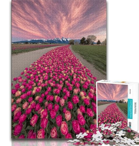 Puzzle für Teenager, 1000 Teile, wunderschöner Bergfluss, Lernspiele, Heimdekoration, Lernspiel für Geburtstag, Weihnachten, 75x50cm von GKJPOXZJ