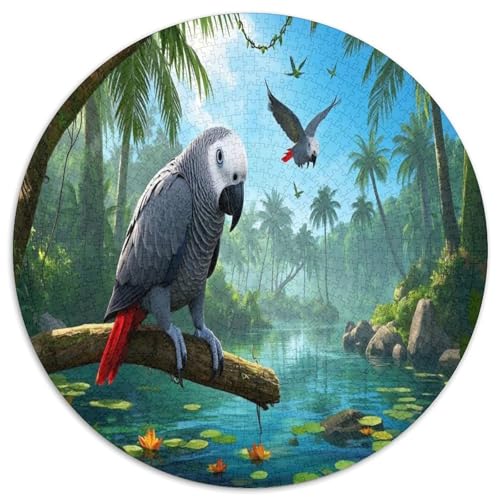 African Grey Papagei 1000 Teile Circular Puzzles Für Erwachsene Kinder Schwieriges Unmögliches Für Karton - Familien- Geschenke Für Mama, 1000pcs (67.5x67.5cm) von GKWEQPQWK