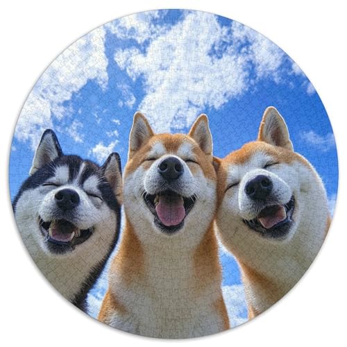 Akita Hund 1000 Teile Circular Puzzles Erwachsene Und Kinder, Schwieriges Großes Pädagogisches Karton - Familien- Geschenke Für Mama, 1000pcs (67.5x67.5cm) von GKWEQPQWK