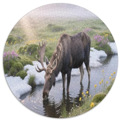 Alce 1000 Teile Circular Puzzles Erwachsene Und Kinder, Schwieriges Großes Pädagogisches Stressfreisetzung Spielzeug Geschenke Für Mama, 1000pcs (67.5x67.5cm) von GKWEQPQWK