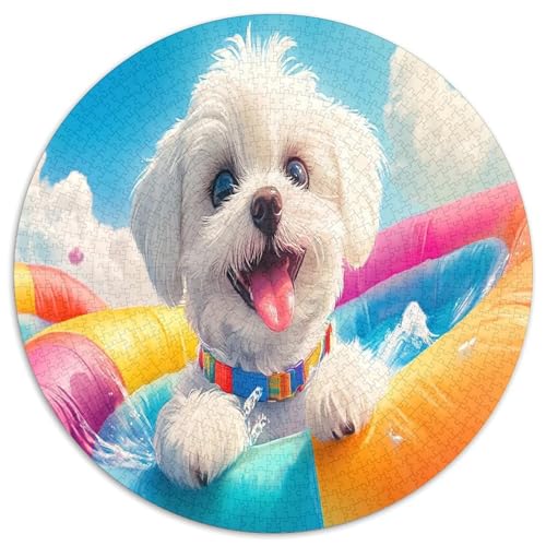 Bichon Frise 1000 Teile Circular Puzzles Erwachsene Und Kinder, Schwer, Verringerter Druck Stressfreisetzung Spielzeug Geschenke Für Mama, 1000pcs (67.5x67.5cm) von GKWEQPQWK