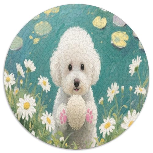 Bichon Frise 1000 Teile Circular Puzzles Für Erwachsene Kinder Schwieriges Großes Pädagogisches Rundes Für Erwachsene Geschenke Für Mama, 1000pcs (67.5x67.5cm) von GKWEQPQWK