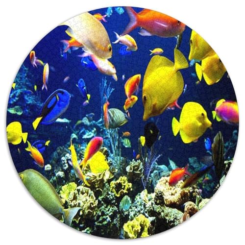 Bigeye Fisch 1000 Teile Circular Puzzles Für Erwachsene Kinder Schwieriges Unmögliches Für Verringerter Druck Rundes Für Erwachsene Geschenke Für Mama, 1000pcs (67.5x67.5cm) von GKWEQPQWK