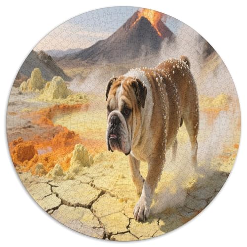 BullHunds 1000 Teile Circular Puzzles Stressabbau-Spielzeugfür Erwachsene Kinder - Schwer, Verringerter Druck Karton - Familienpuzzle Geschenke Für Mama, 1000pcs (67.5x67.5cm) von GKWEQPQWK
