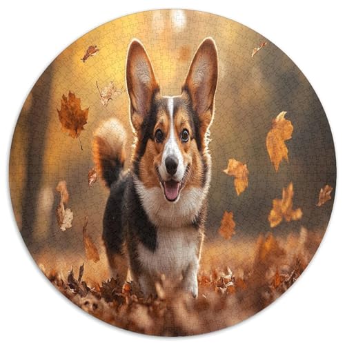 Corgi 1000 Teile Circular Puzzles Erwachsene Und Kinder, Schwer, Stressfreisetzung Spielzeug Geschenke Für Mama, 1000pcs (67.5x67.5cm) von GKWEQPQWK