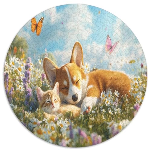 Corgi 1000 Teile Circular Puzzles Erwachsene Und Kinder, Schwer, Verringerter Druck Stressfreisetzung Spielzeug Geschenke Für Mama, 1000pcs (67.5x67.5cm) von GKWEQPQWK