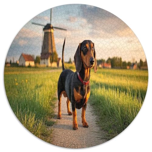 Dachshund 1000 Teile Circular Puzzles Erwachsene Und Kinder, Schwieriges Großes Pädagogisches Stressfreisetzung Spielzeug Geschenke Für Mama, 1000pcs (67.5x67.5cm) von GKWEQPQWK