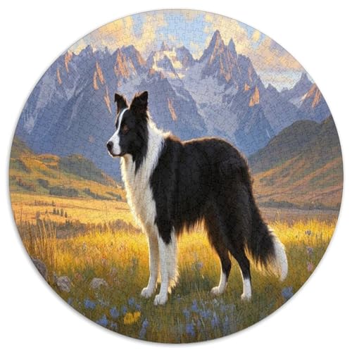 Der Border Collie 1000 Teile Circular Puzzles Für Erwachsene Kinder - Schwer, Verringerter Druck Stressfreisetzung Spielzeug Geschenke Für Mama, 1000pcs (67.5x67.5cm) von GKWEQPQWK