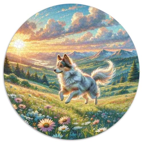 Der Parson Russell Terrier 1000 Teile Circular Puzzles Für Erwachsene Kinder - Schwer, Verringerter Druck Stressfreisetzung Spielzeug Geschenke Für Mama, 1000pcs (67.5x67.5cm) von GKWEQPQWK