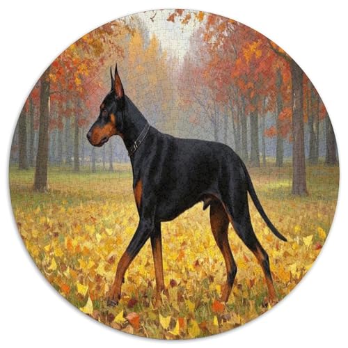 Doberman Pinscher 1000 Teile Circular Puzzles Stressabbau-Spielzeugfür Erwachsene Kinder - Schwer, Stressfreisetzung Spielzeug Geschenke Für Mama, 1000pcs (67.5x67.5cm) von GKWEQPQWK