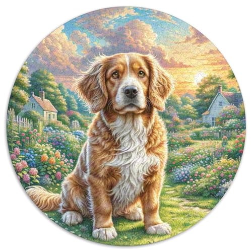 Englischer Springer Spaniel 1000 Teile Circular Puzzles Stressabbau-Spielzeugfür Erwachsene Kinder Schwieriges Großes Pädagogisches Karton - Familienpuzzle Geschenke Für Mama, 1000pcs (67.5x67.5cm) von GKWEQPQWK