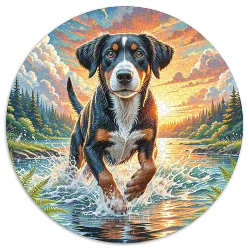 Englischer Springer Spaniel 1000 Teile Circular Puzzles Stressabbau-Spielzeugfür Erwachsene Kinder Schwieriges Großes Pädagogisches Verringerter Druck Rundes Für Erwachsene Geschenke Für Mama ( von GKWEQPQWK