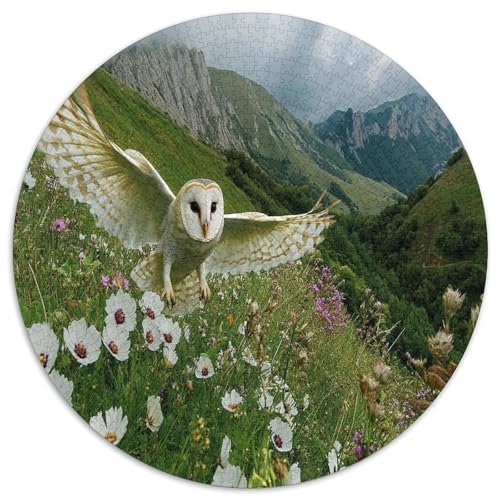 Eule 1000 Teile Circular Puzzles Erwachsene Und Kinder, Schwieriges Großes Pädagogisches Verringerter Druck Stressfreisetzung Spielzeug Geschenke Für Mama, 1000pcs (67.5x67.5cm) von GKWEQPQWK