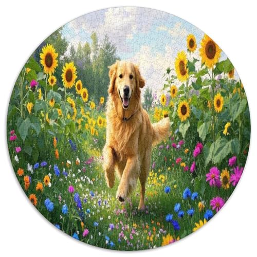 Goldener Retriever 1000 Teile Circular Puzzles Stressabbau-Spielzeugfür Erwachsene Kinder - Schwer, Stressfreisetzung Spielzeug Geschenke Für Mama, 1000pcs (67.5x67.5cm) von GKWEQPQWK