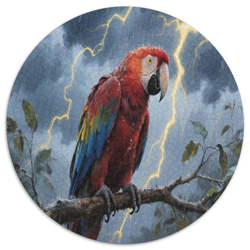Guacamayo 1000 Teile Circular Puzzles Erwachsene Und Kinder, Schwer, Stressfreisetzung Spielzeug Geschenke Für Mama, 1000pcs (67.5x67.5cm) von GKWEQPQWK