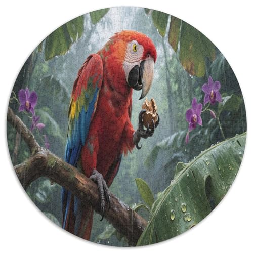 Guacamayo 1000 Teile Circular Puzzles Für Erwachsene Kinder - Schwer, Karton - Familien- Geschenke Für Mama, 1000pcs (67.5x67.5cm) von GKWEQPQWK