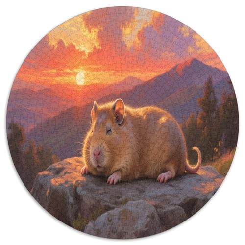 Guinea Schwein 1000 Teile Circular Puzzles Für Erwachsene Kinder Schwieriges Großes Pädagogisches Verringerter Druck Karton - Familien- Geschenke Für Mama, 1000pcs (67.5x67.5cm) von GKWEQPQWK
