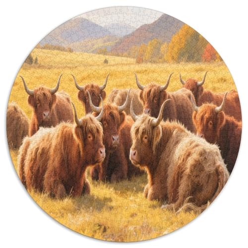 Highland Rinder 1000 Teile Circular Puzzles Erwachsene Und Kinder, Schwieriges Unmögliches Für Verringerter Druck Karton - Familien- Geschenke Für Mama, 1000pcs (67.5x67.5cm) von GKWEQPQWK