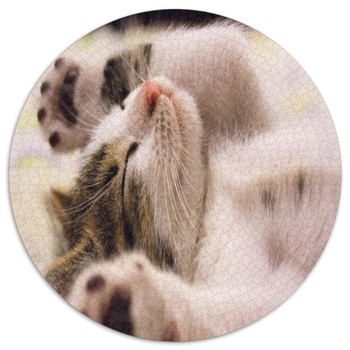 Katze 1000 Teile Circular Puzzles Stressabbau-Spielzeugfür Erwachsene Kinder Schwieriges Unmögliches Für Stressfreisetzung Spielzeug Geschenke Für Mama, 1000pcs (67.5x67.5cm) von GKWEQPQWK
