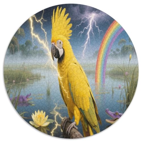 Macaw 1000 Teile Circular Puzzles Erwachsene Und Kinder, Schwieriges Großes Pädagogisches Verringerter Druck Karton - Familien- Geschenke Für Mama, 1000pcs (67.5x67.5cm) von GKWEQPQWK