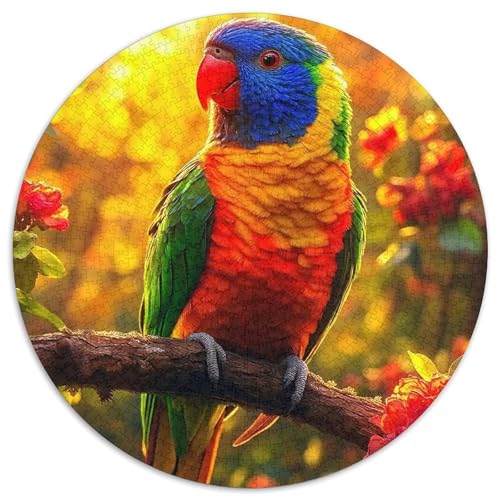 Papagei 1000 Teile Papagei Theme Circular Puzzles Für Erwachsene Kinder Schwieriges Großes Pädagogisches Verringerter Druck Karton - Familien- Geschenke Für Mama, 1000pcs (67.5x67.5cm) von GKWEQPQWK